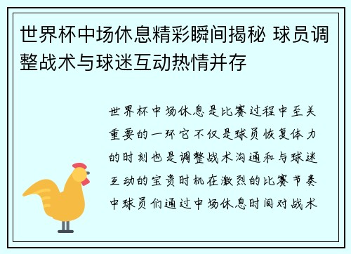 世界杯中场休息精彩瞬间揭秘 球员调整战术与球迷互动热情并存